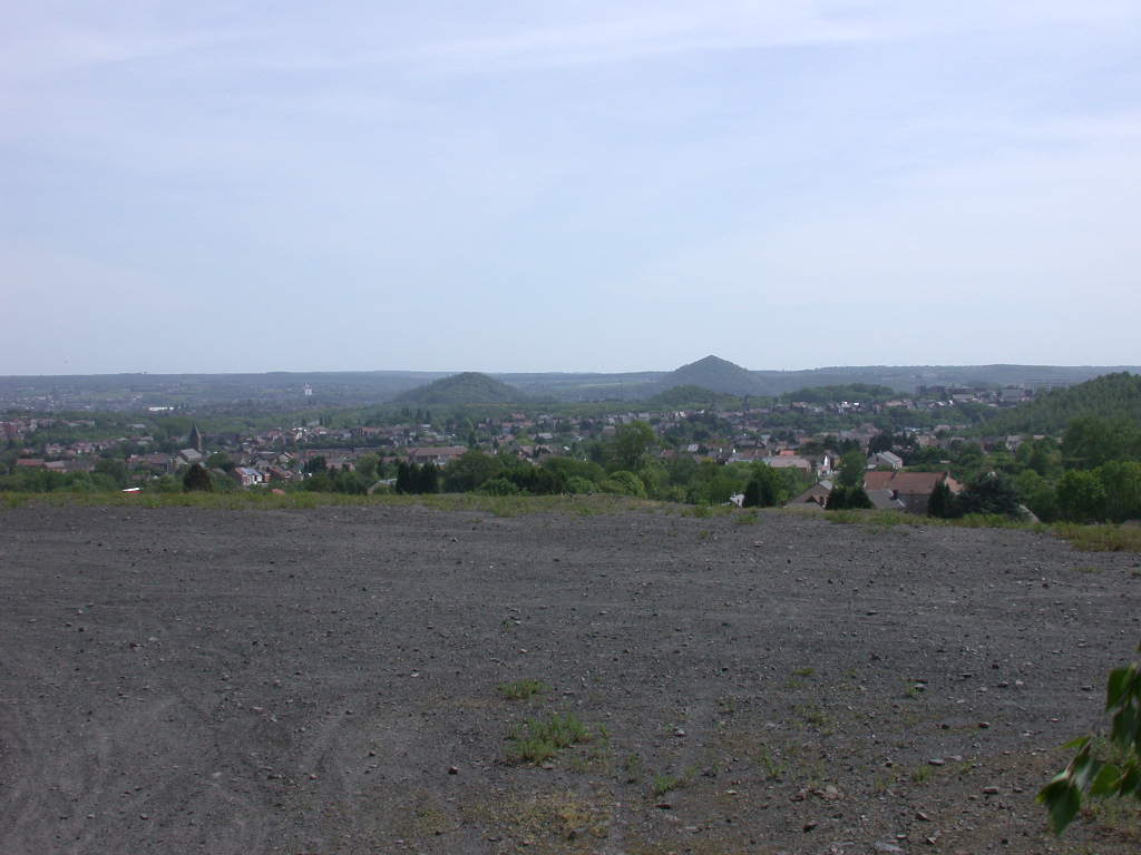 Arriva con il caldo...   QUIZ